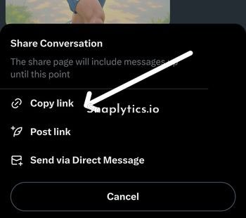 grok-message-copy-share-link