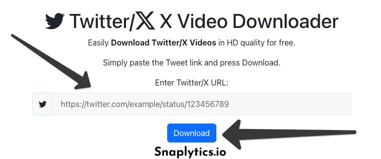 how-to-save-twitter-video-desktop-enter-url