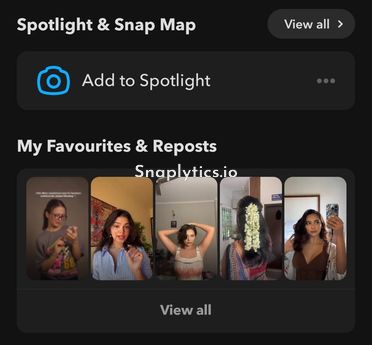 snapchat-profile-favourities