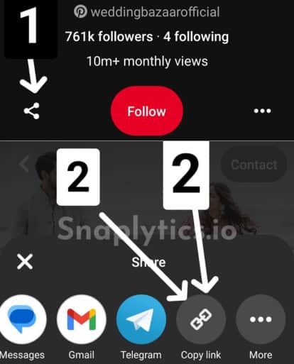 Step 1: Copy Profile URL