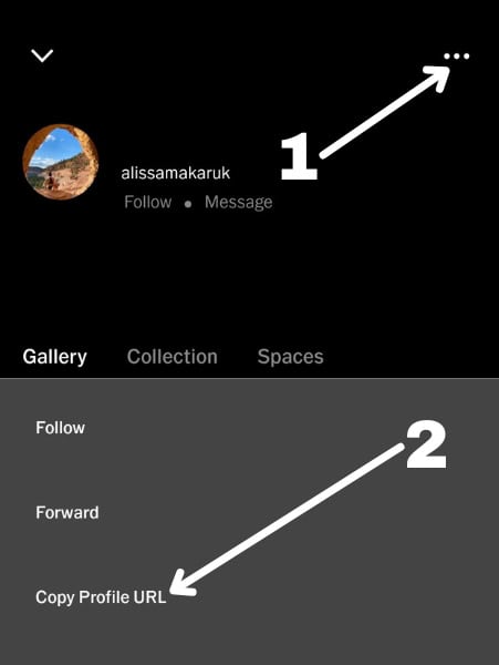 Step 1: Copy Profile link