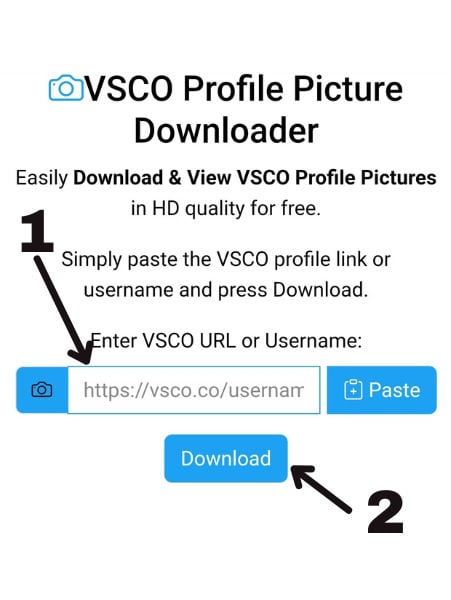Step 2: Paste the link