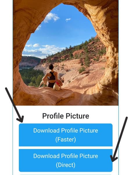 Step 3: Download the Pic