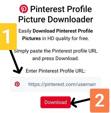 Step 2: Paste the URL